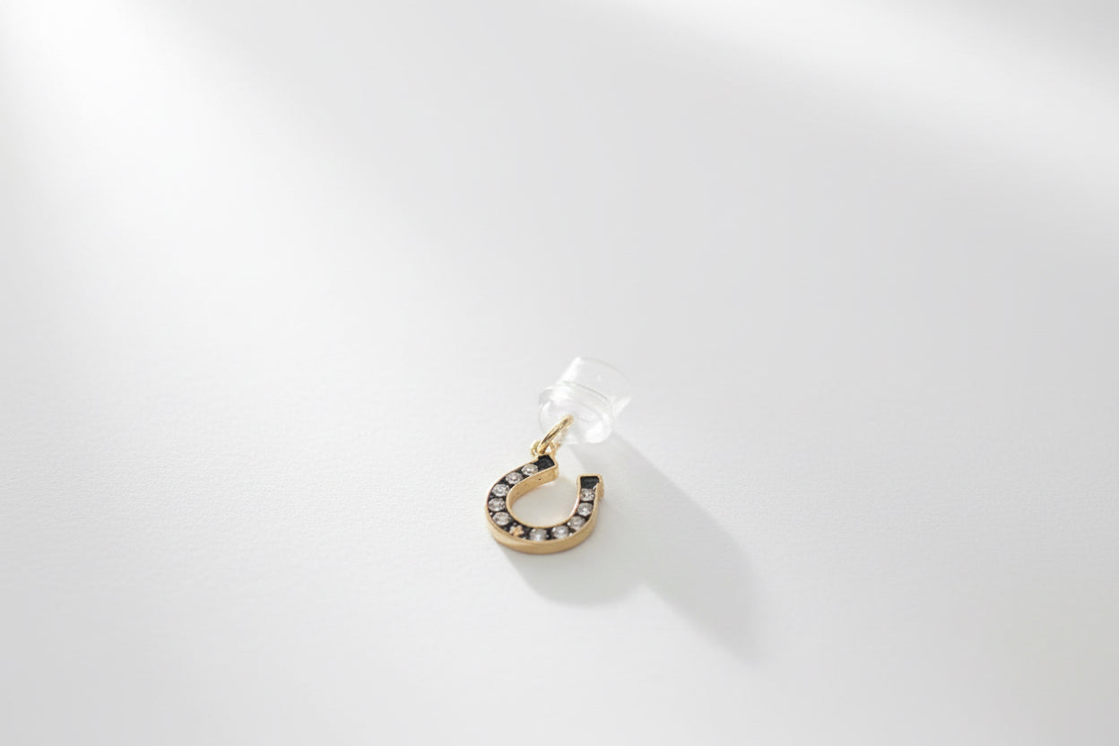 Assorted type C Dust Plug Charms