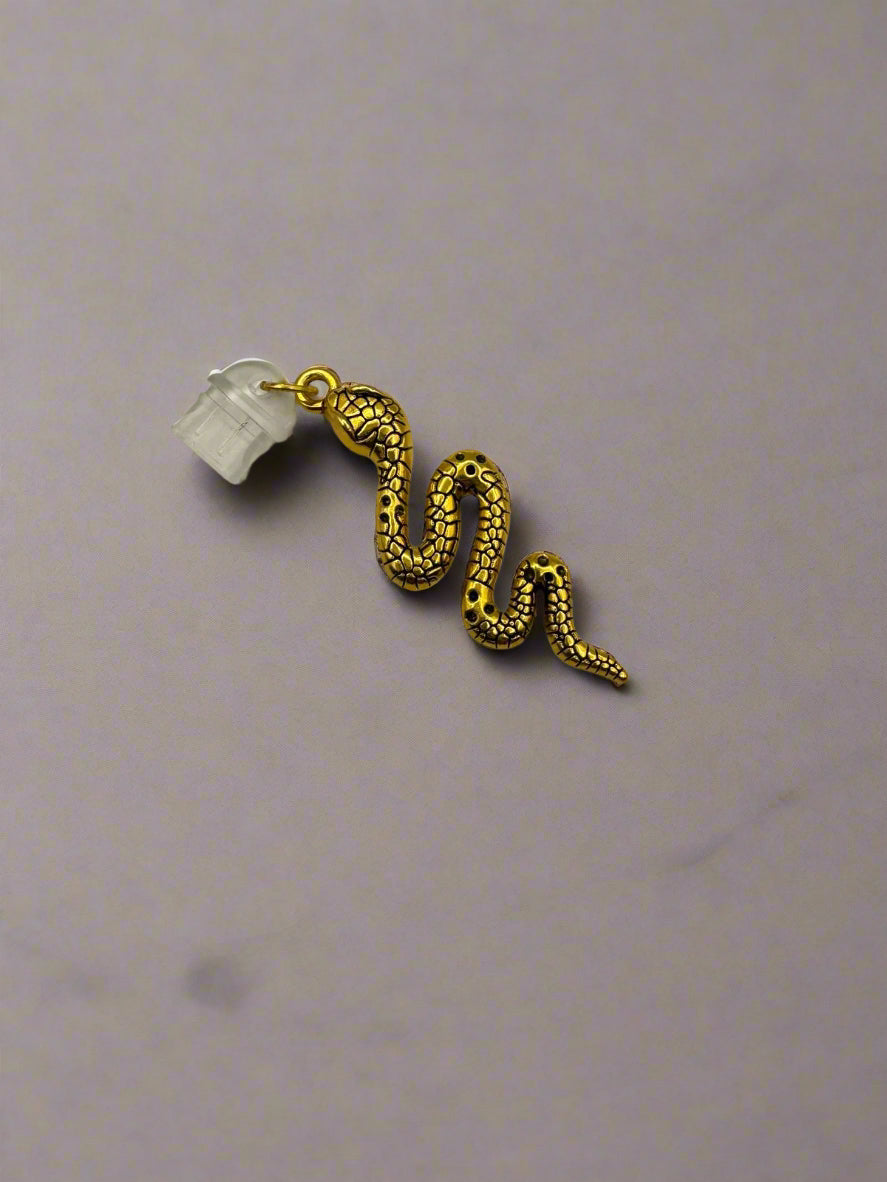 Assorted type C Dust Plug Charms